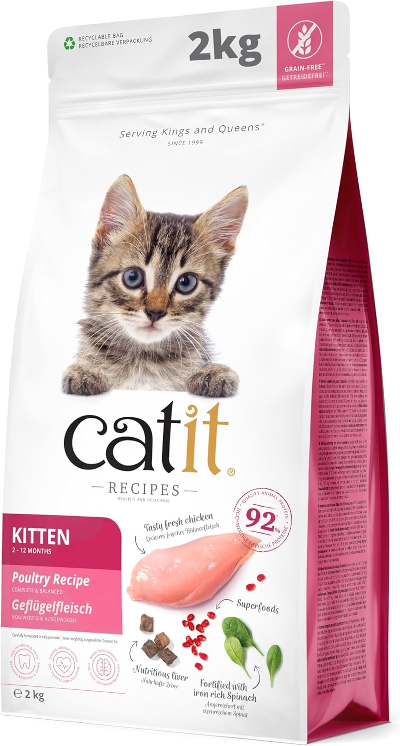 Mejor Pienso Calidad Precio Catit Recipes