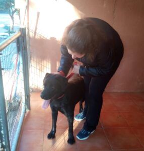 Nosotros conociendo y adoptando a Dobby en el paraíso alhaurin de la torre