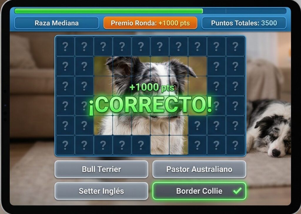 Captura del juego interactivo Enigma Mediano mostrando un Border Collie y opciones de razas.