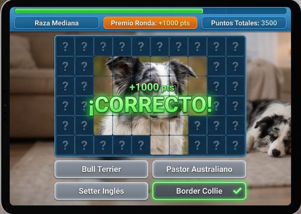 Captura del juego interactivo Enigma Mediano mostrando un Border Collie y opciones de razas.
